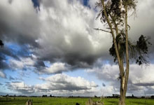 一竞技官网：意甲：尤文图斯以4比1 大胜恩波利.