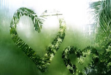 一竞技官网：德甲-41场不败！勒沃库森1-0下轮赢球即可夺冠.